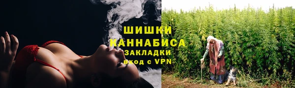 индика Михайлов