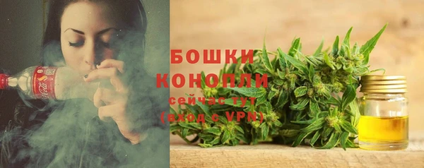mix Бикин