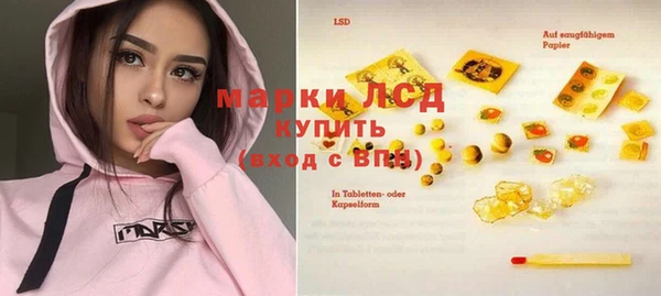 индика Михайлов