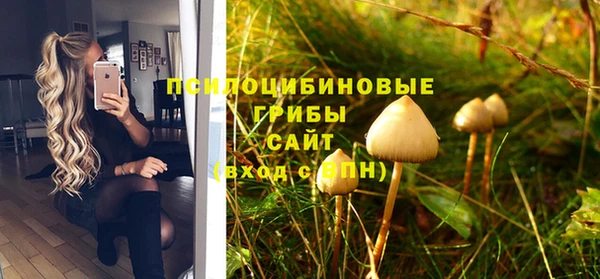 Альфа ПВП Билибино