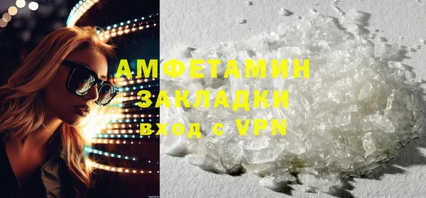 индика Михайлов
