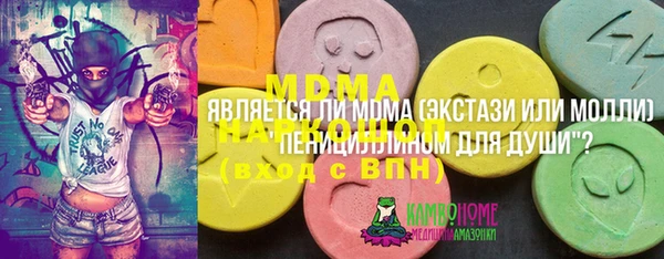 индика Медвежьегорск